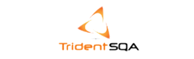Partner 11 Logo