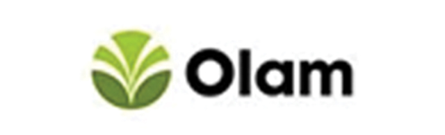 Partner 17 Logo